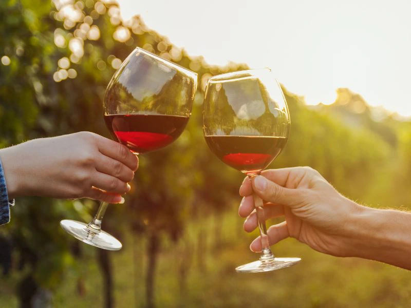 anstoßende Weingläser zwischen Weinreben in Maipo Valley
