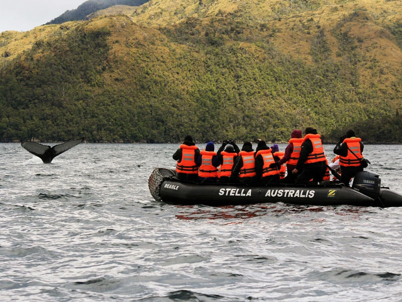 Zodiac Waltour in Chile