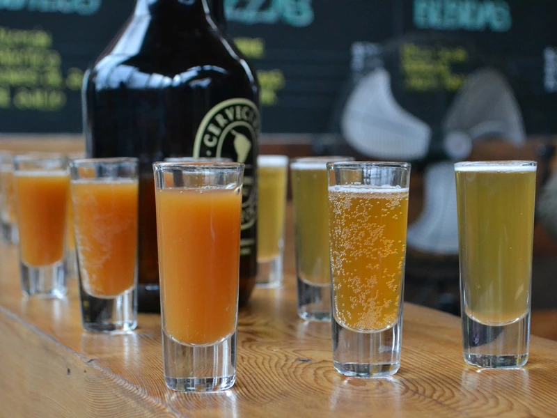 Bier Verkostung in Puerto Varas