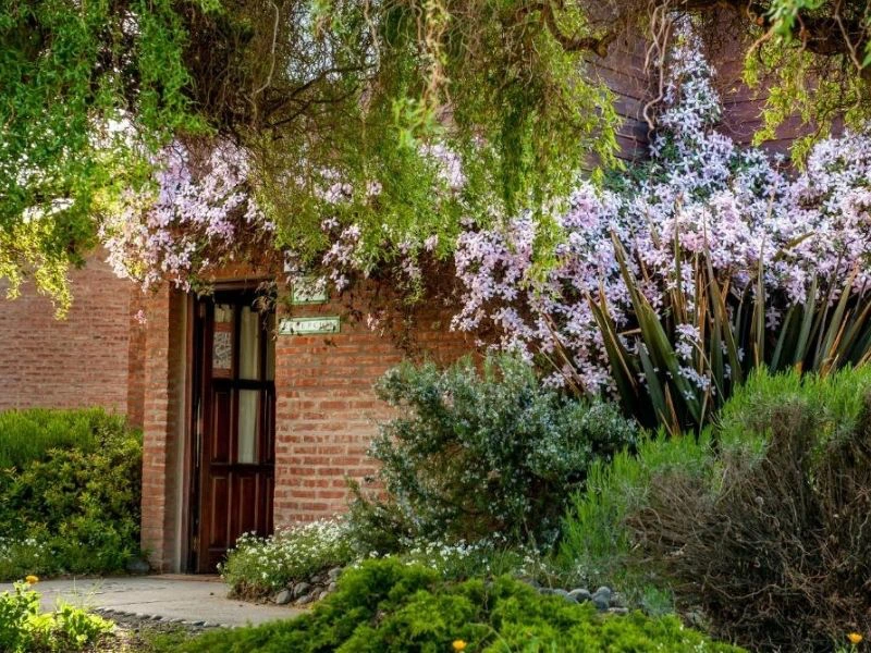 hosteria in el calafate