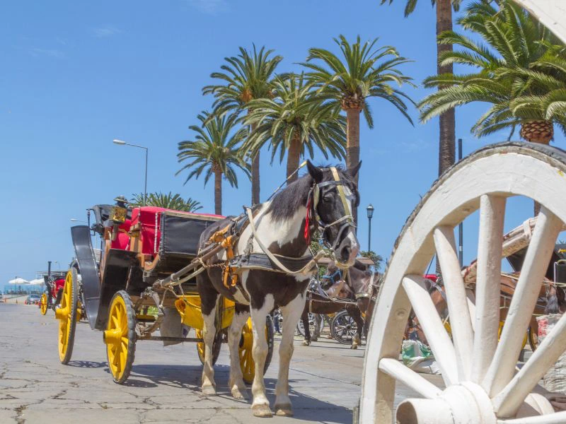 Kutsche in den Straßen von Valparaiso in Chile