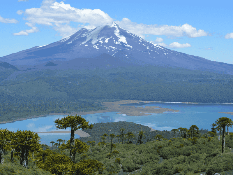 Der Vulkan Llaima im Nationalpark Conguillío