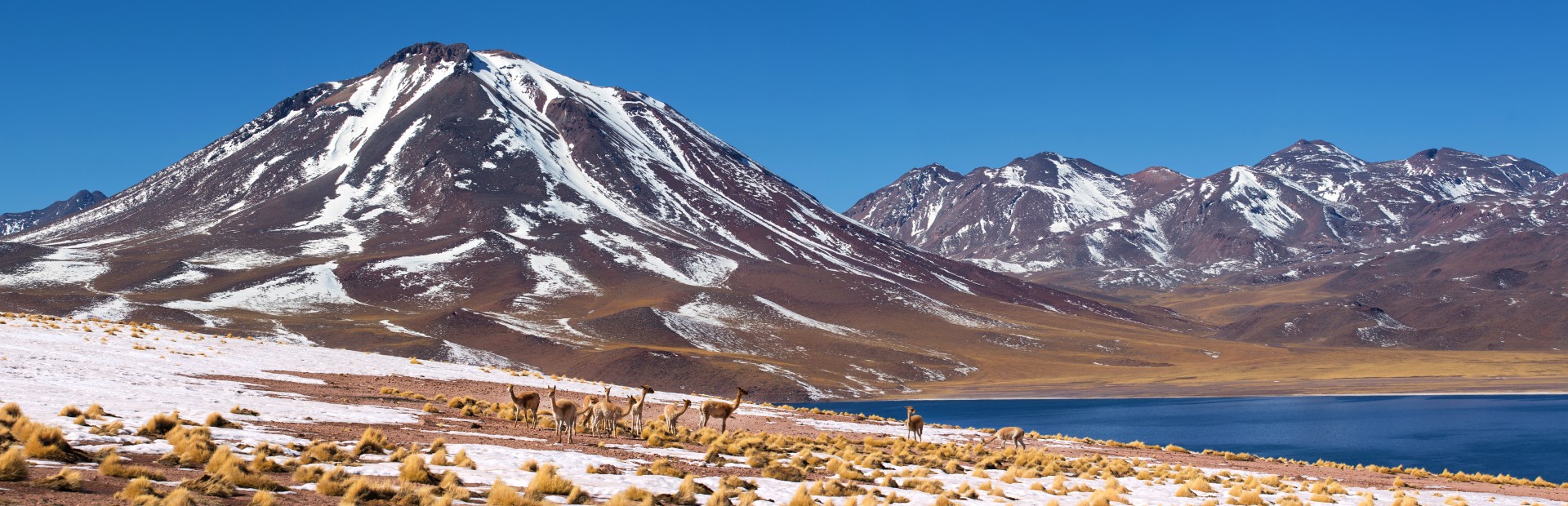 Vulkane und Seen bei San Pedro de Atacama in Chile