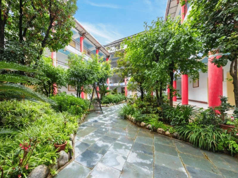 GrĂĽner Innenhof im Dali Hotel