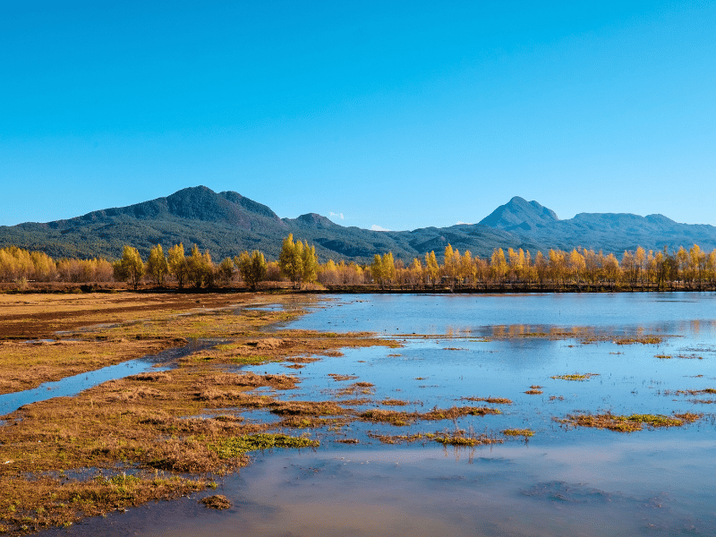 Lashi See von Bäumen umschlossen im Herbst