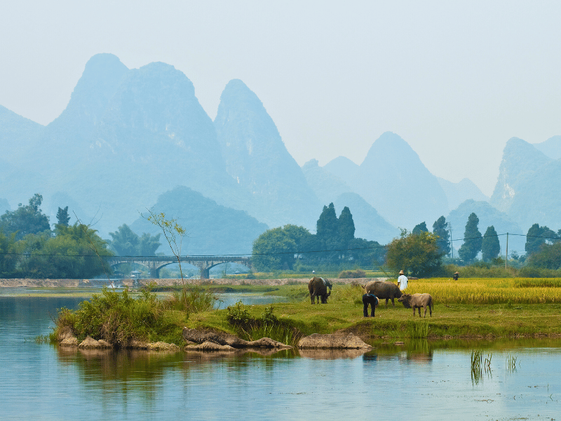 Karstberge bei Yangshuo in Südchina