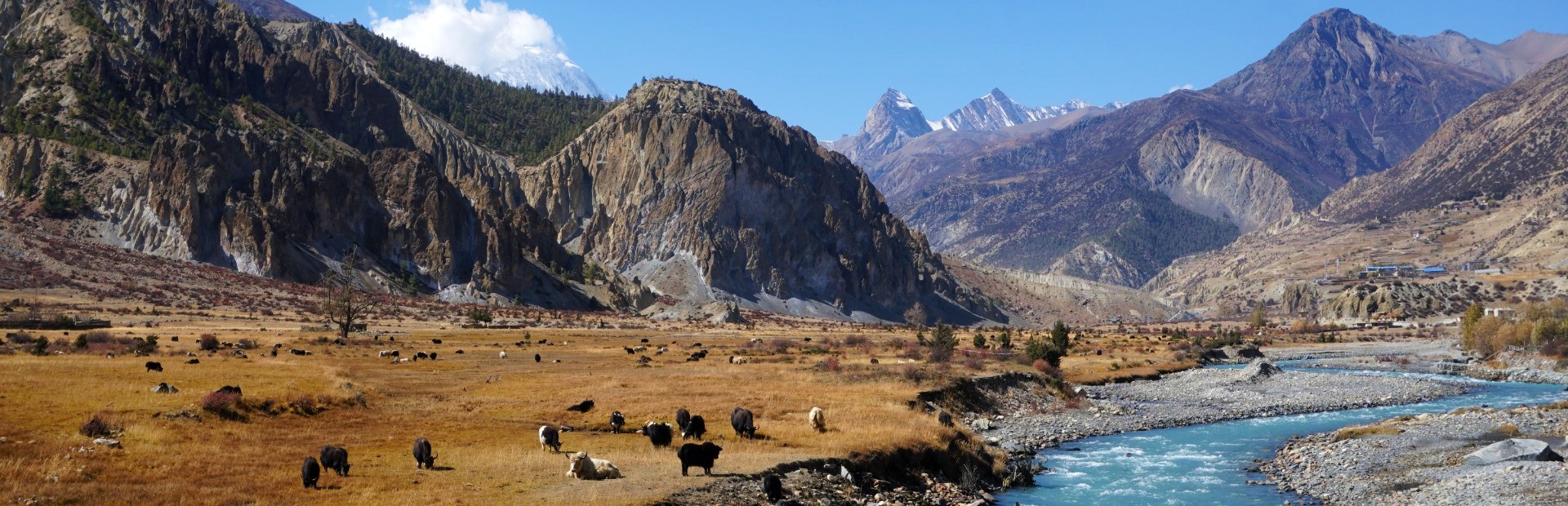Landschaft mit Bergen, See und Yaks in Tibet, China