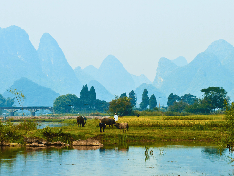 Karstberge von Yangshuo
