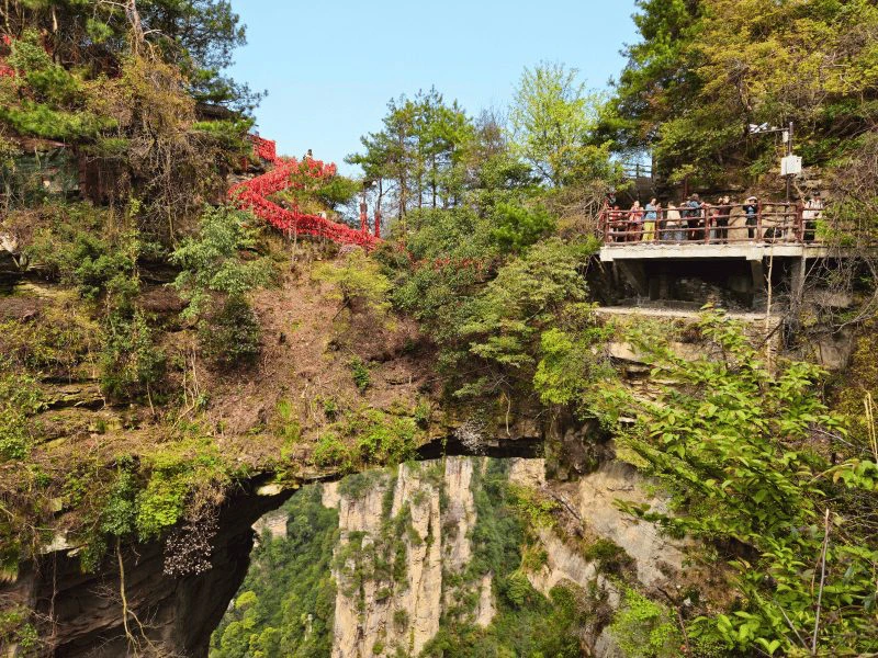 Natürliche Steinbrücke im Forest Park von Zhangjiajie