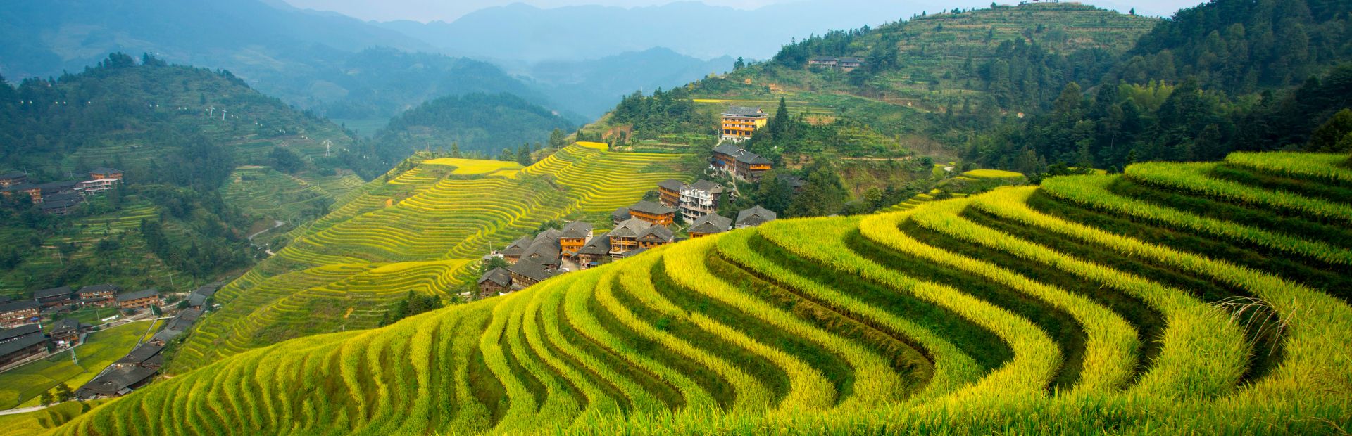 Reisterrassen von Longsheng