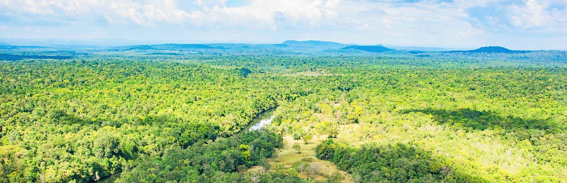 Blick auf dem Dschungel in den Cardamom Bergen in Kambodscha