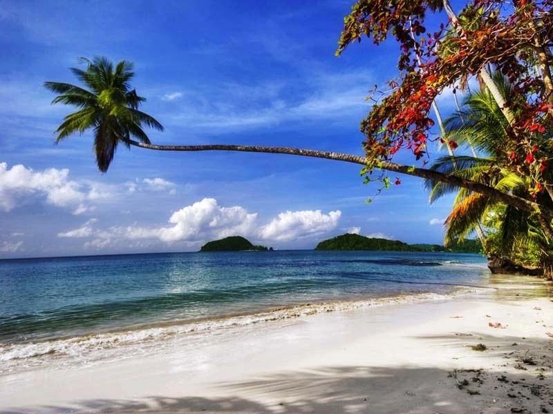 Langer Sandstrand mit Palme am Meer auf Koh Mak Thailand