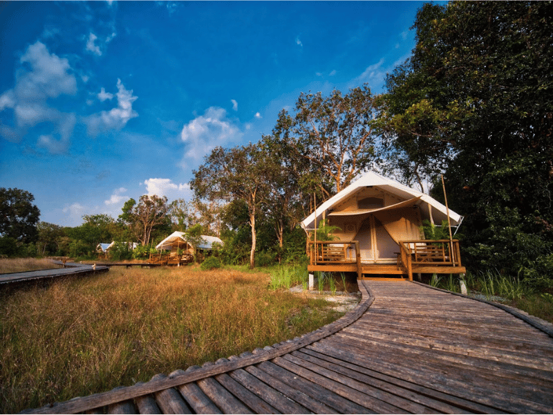 Zelt und Steg im Cardamom Tented Camp Kambodscha