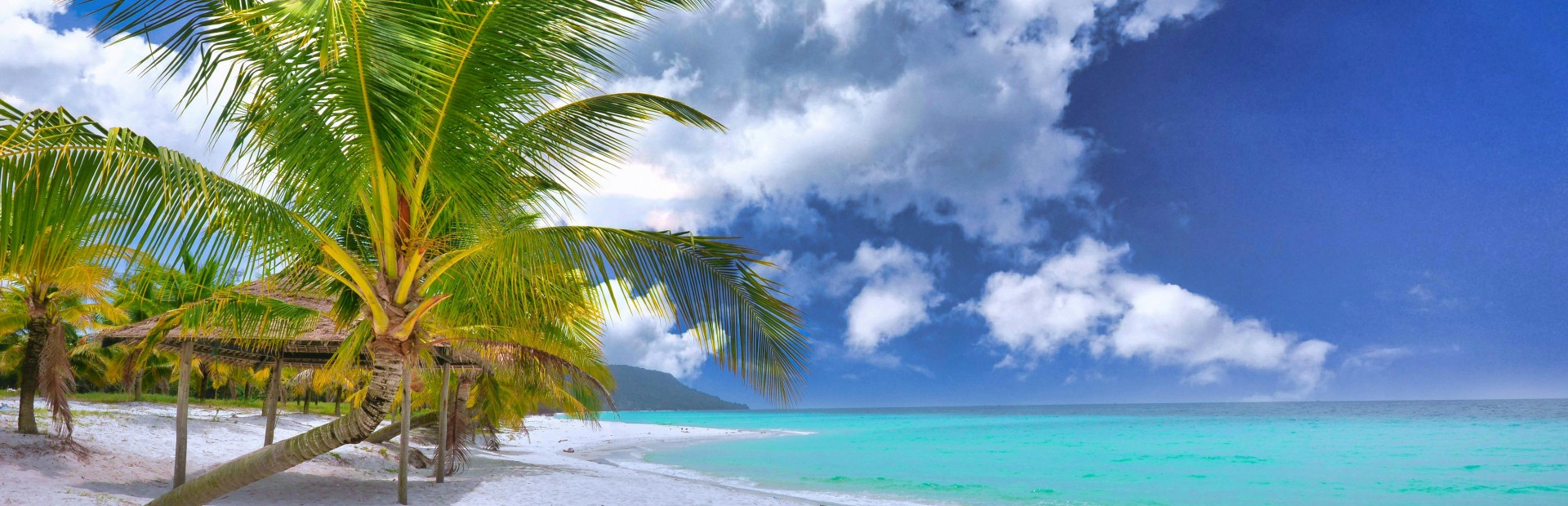 Palme am weißen Strand von Koh Rong Samloem in Kambodscha
