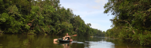 Frau im Kanu auf Fluss mit grüner Vegetation