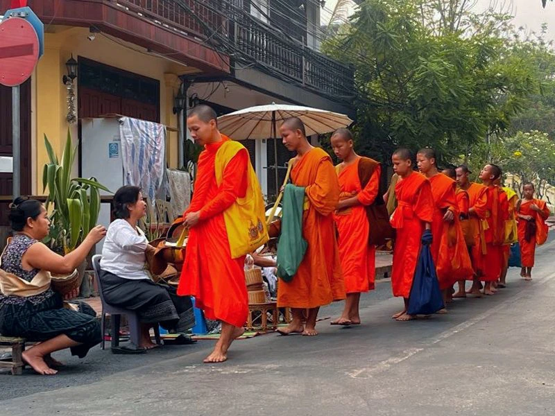 Mönche in orangenen Gewändern beim Gaben sammeln in Luang Prabang in Laos