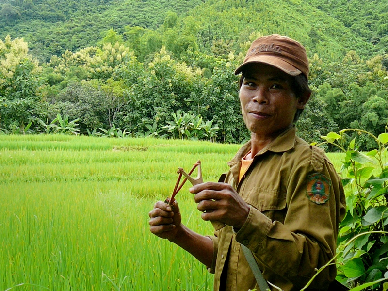 Laos - Einheimischer vor Reisfeld