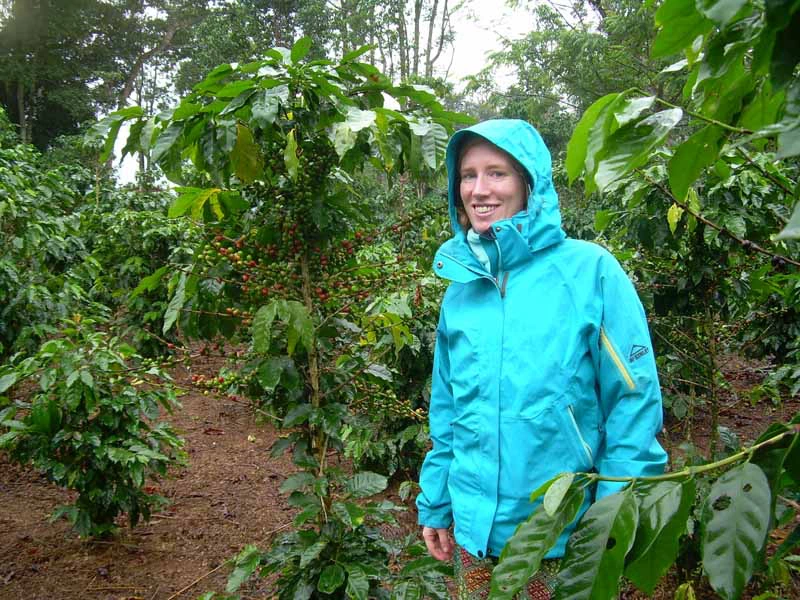 Tourist auf einer Kaffeeplantage im Süden von Laos