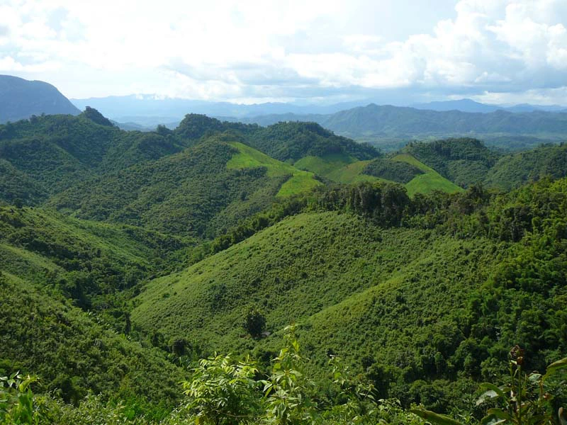 Ausblick auf die waldbedeckten, grünen Berge im Norden von Laos