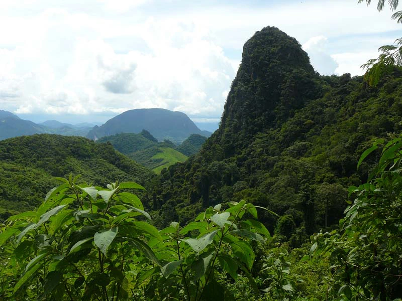 Waldbedeckter Karstberg im Norden von Laos