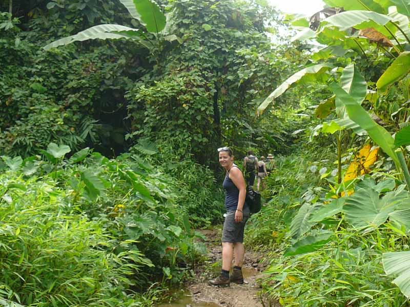 Tourist auf einem dichtbewachsenen Weg beim Trekking in Laos
