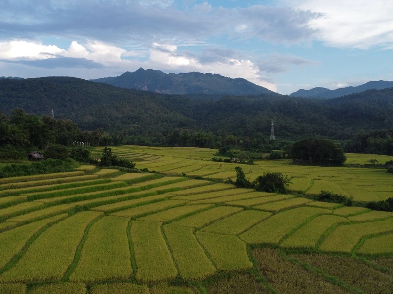 Reisefelder in Luang Prabang