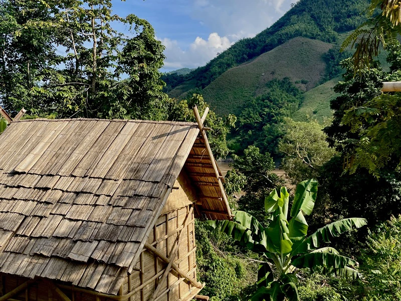 Dschungel in Laos und Thailand Flitterwochen
