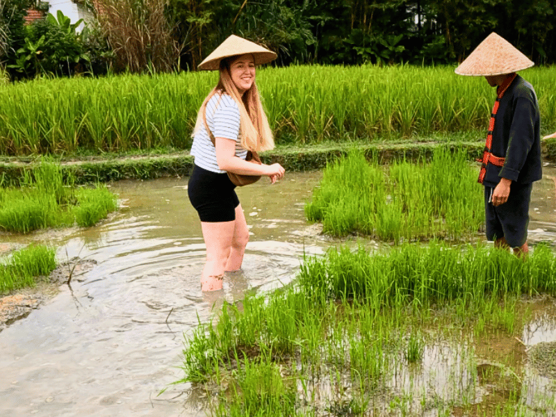 Personen im Reisfeld in Luang Prabang in Laos