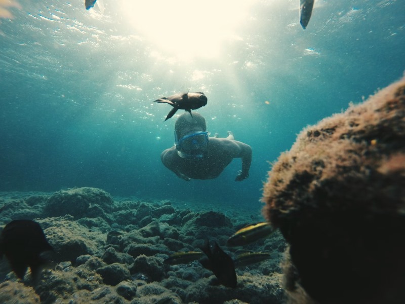 Tourist beim Schnorcheln auf den Perhentian Islands, Malaysia