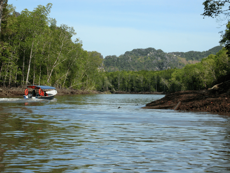 Kanal in den Mangroven auf Langkawi, Malaysia