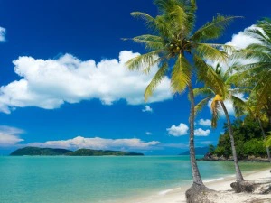 Palmenstrand in Malaysia auf Langkawi