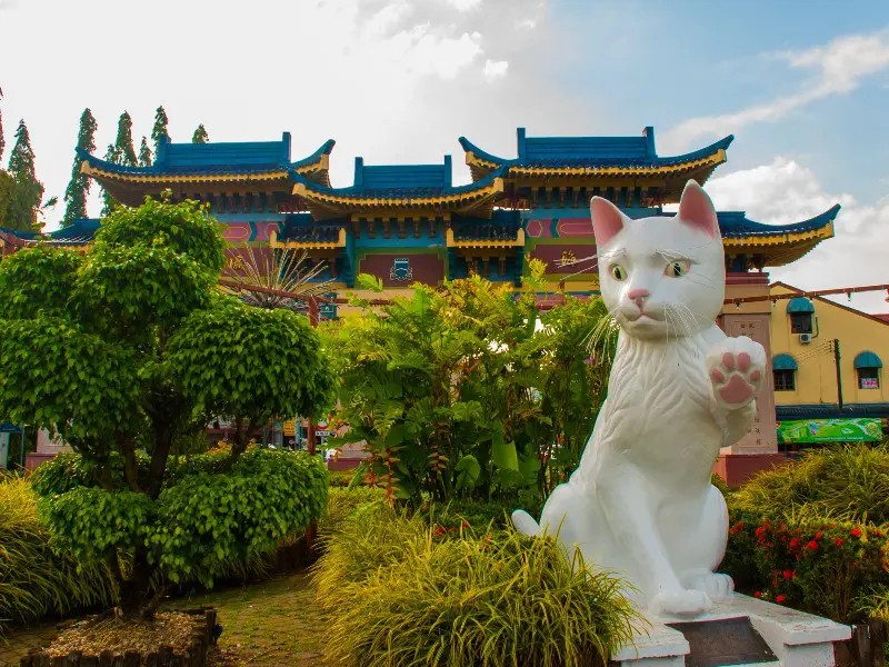 Katzenstatue vor einem bunten Tempel in Kuching