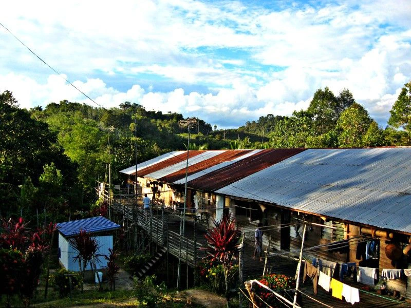 Langhaus der Iban auf Borneo