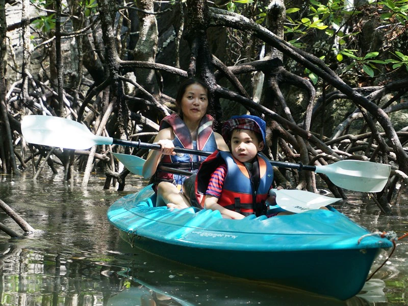 Mangroven-Tour auf Langkawi, Malaysia