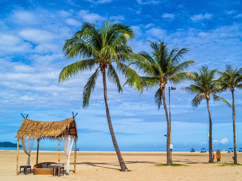 Strand mit Palmen in Kota Kinabalu, Borneo