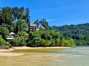 Strand trifft auf dichten Dschungel auf Gaya Island, Borneo