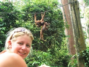 Touristin im Sepilok Orang Utan Center vor im Baum schwingenden Orang Utans