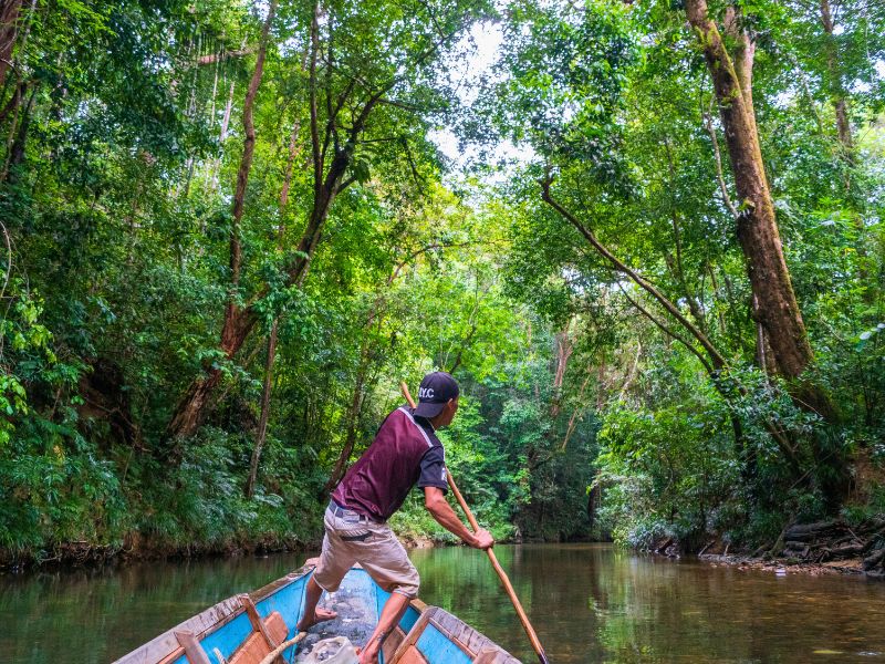 Einheimischer des Iban Stamms auf einem traditionellen Langboot