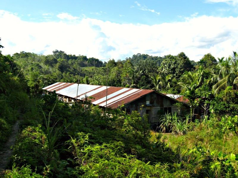 Langhaus der Iban auf Borneo