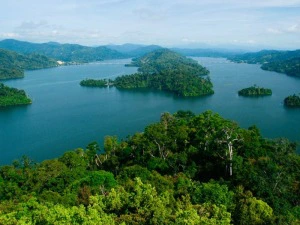 See im Belum Regenwald, Malaysia