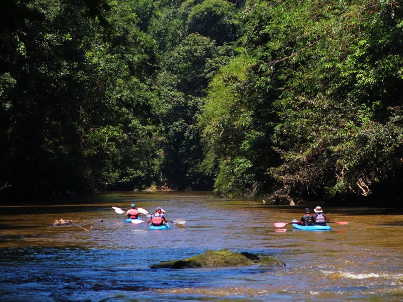 Kajaken im Dschungel von Borneo