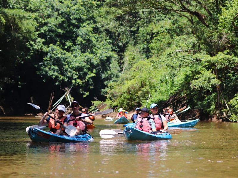 Kajaken im Dschungel von Borneo