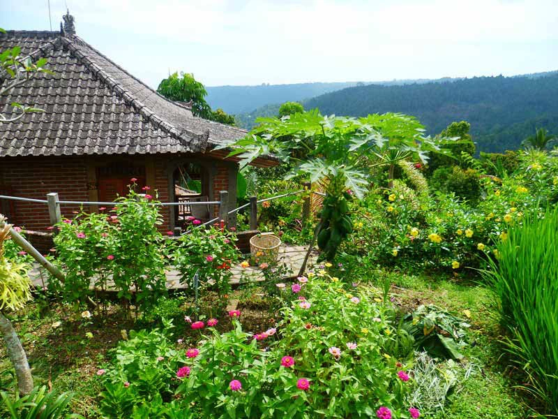 Tropische Umgebung von Munduk