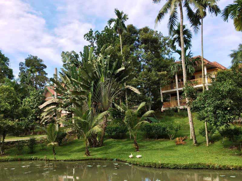 Unterkunft mit grünem Garten in Medan