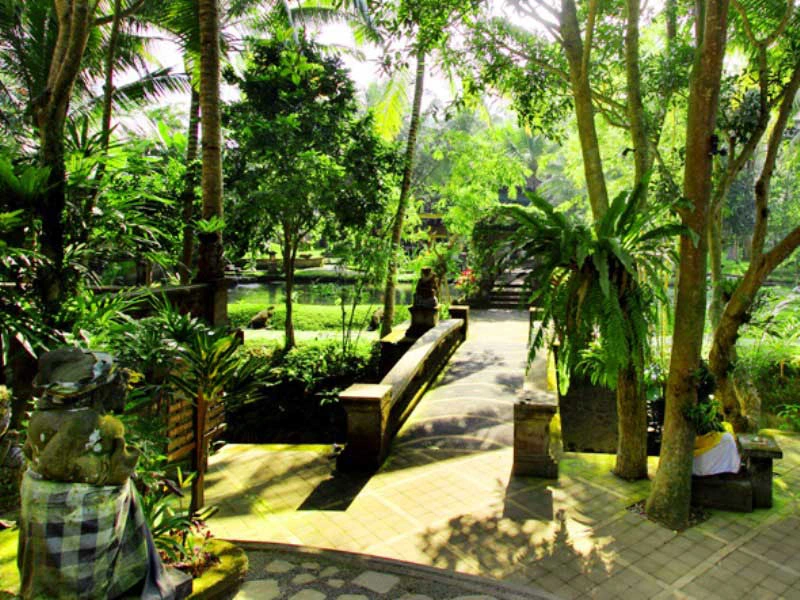 Gepflegte Gartenanlage unserer Komfortoption in Ubud