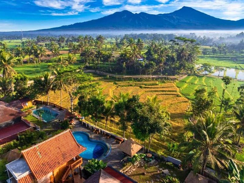Hotel in den Reisfeldern auf Lombok
