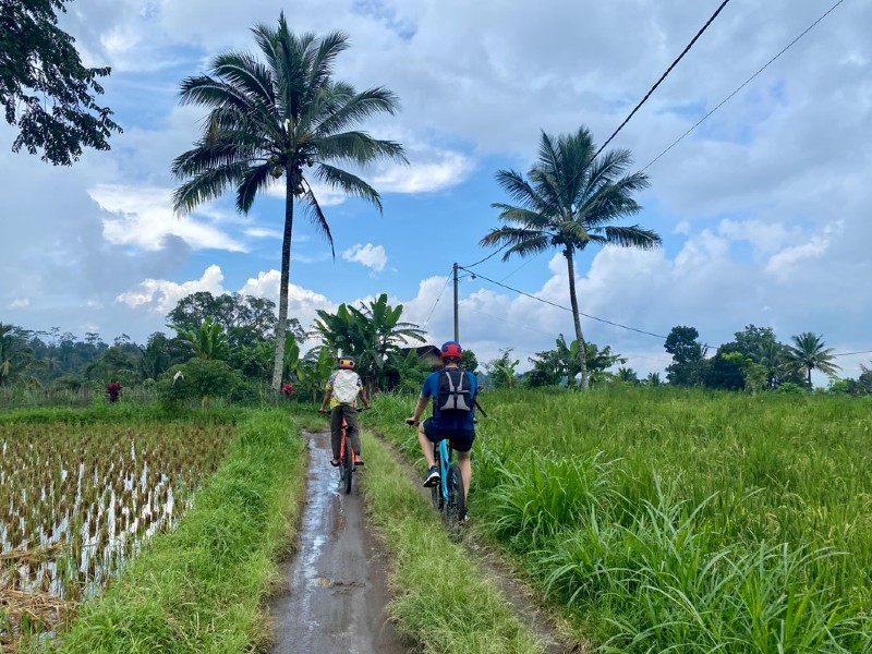 Radfahren in den Reisfeldern bei Tetebatu in Indonesien