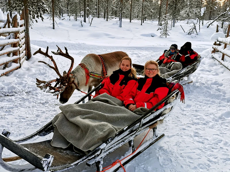 Unterwegs im Rentierschlitten durch Lappland