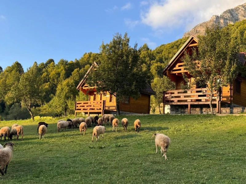 Blick auf Berghütte bei Lepushë