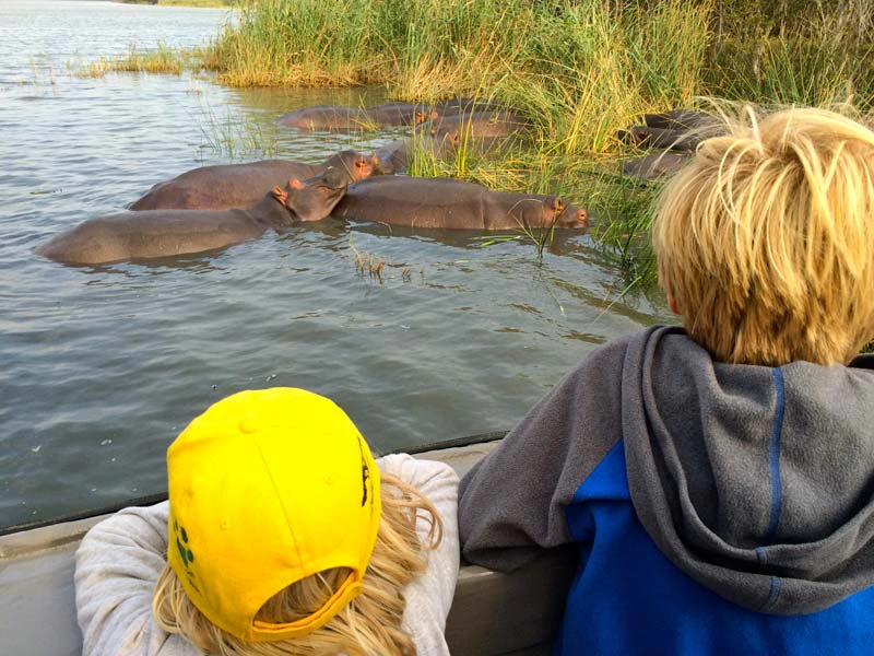 Bootstour zu den Hippos in St. Lucia